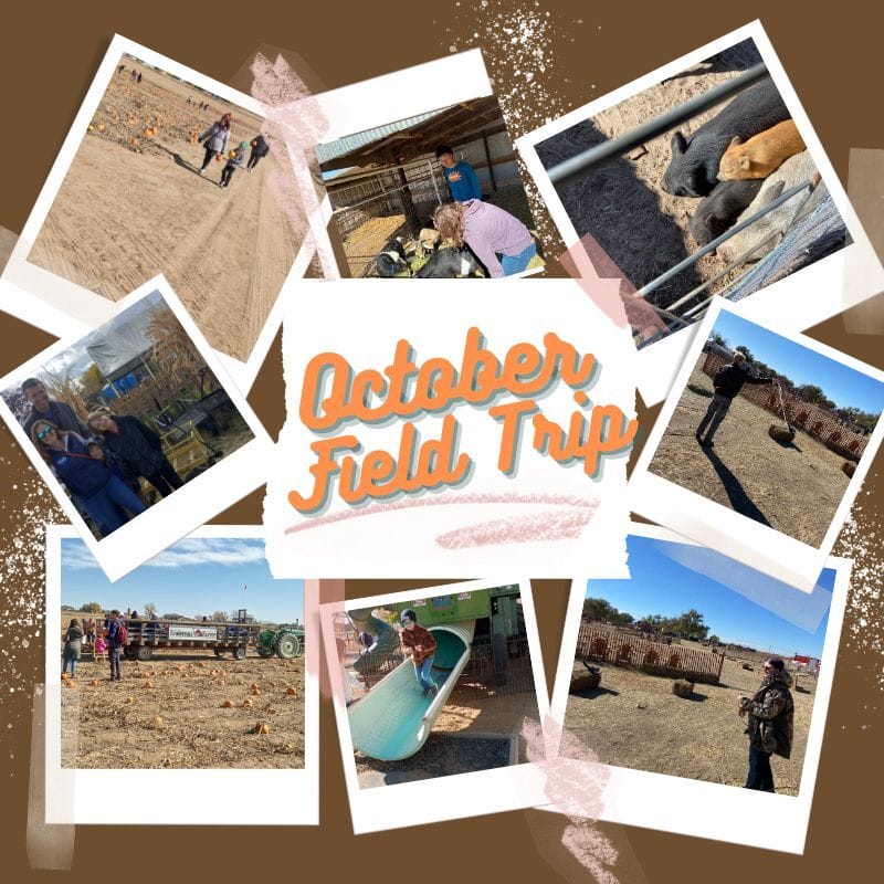 niños, animales, calabazas en la excursión de octubre