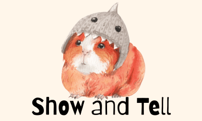 club de la imagen show and tell